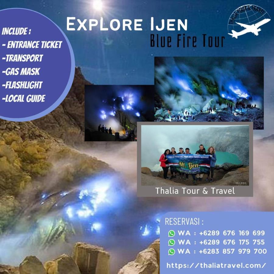 Thalia Homestay & Ijen Bromo Tour Баньюванги Экстерьер фото