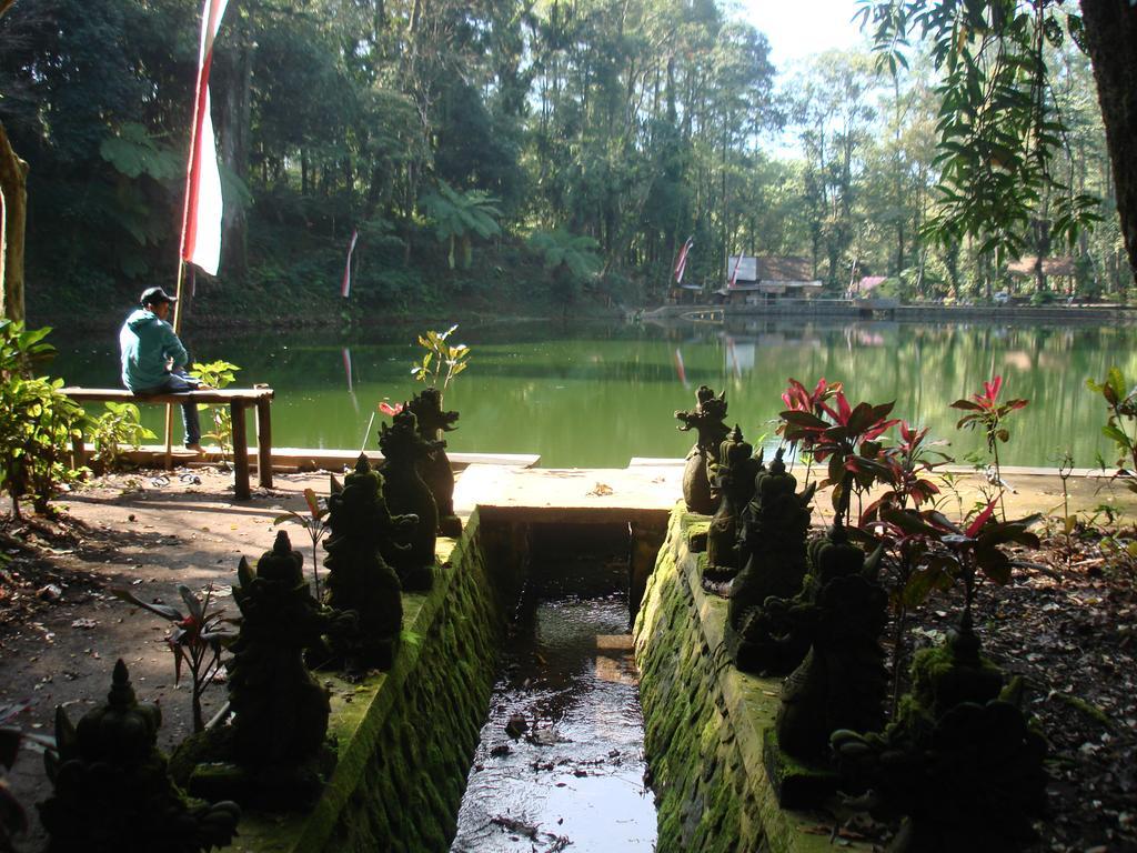 Thalia Homestay & Ijen Bromo Tour Баньюванги Экстерьер фото
