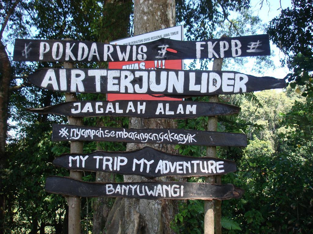Thalia Homestay & Ijen Bromo Tour Баньюванги Экстерьер фото