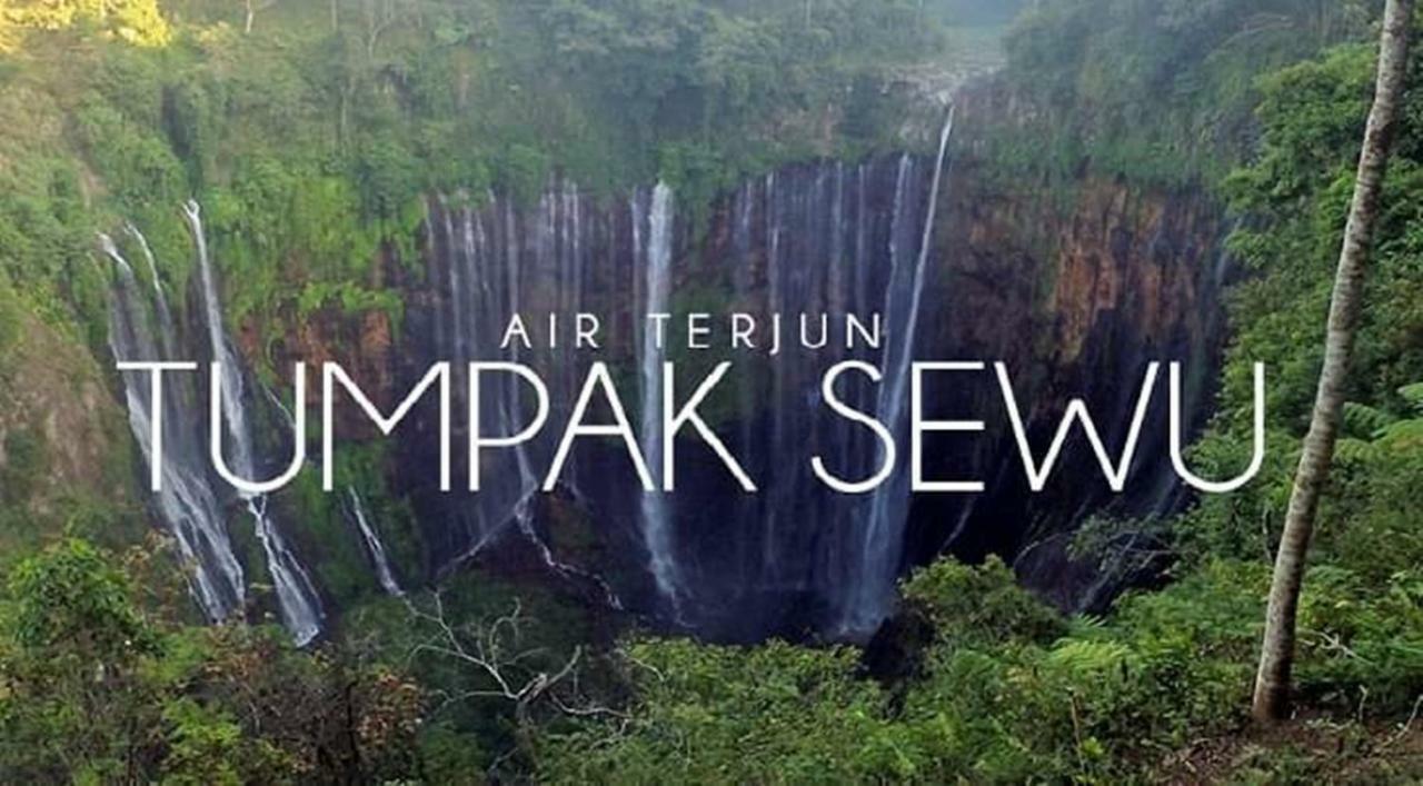 Thalia Homestay & Ijen Bromo Tour Баньюванги Экстерьер фото